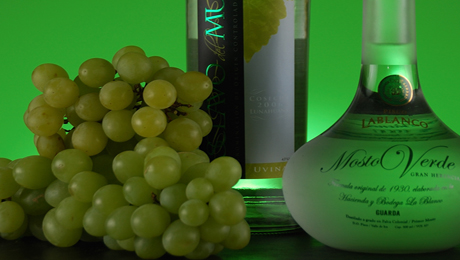 Pisco en la UE