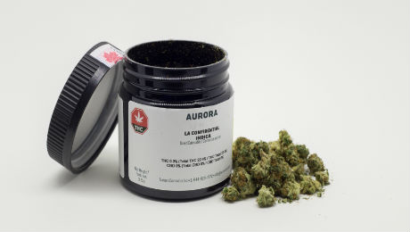 Niegan marcas sobre cannabis