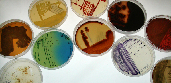 Tratado de Budapest: Paraguay formará parte del sistema internacional de depósito de microorganismos