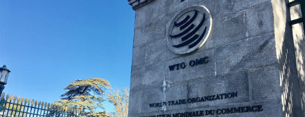 “Los derechos de PI son críticos para el sistema de comercio internacional”