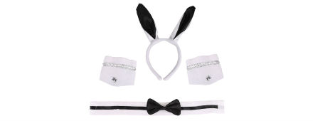 El disfraz de Playboy