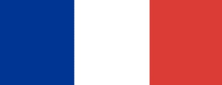 Francia consigue revertir fallo por France.com