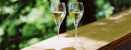 Recurso exitoso para Champagne