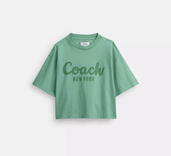 Coach y Old Navy alcanzan acuerdo por infracción de marca registrada