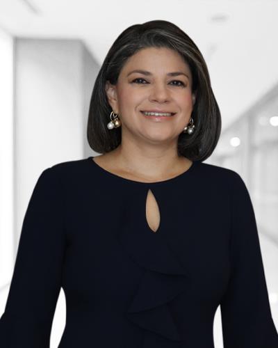 Protección de los programas de ordenador en El Salvador