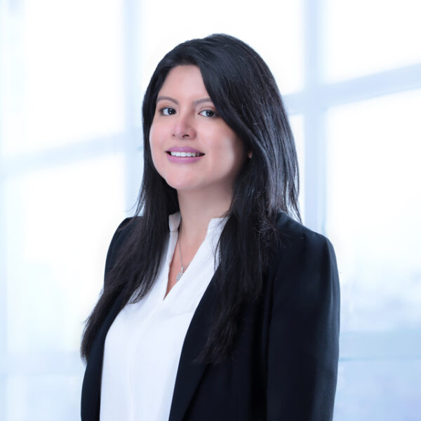 Nuevo desafío para las marcas notorias en Perú