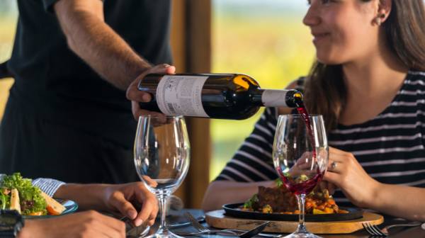 El vino chileno como bebida nacional: una mirada crítica a la necesidad de reforma legislativa