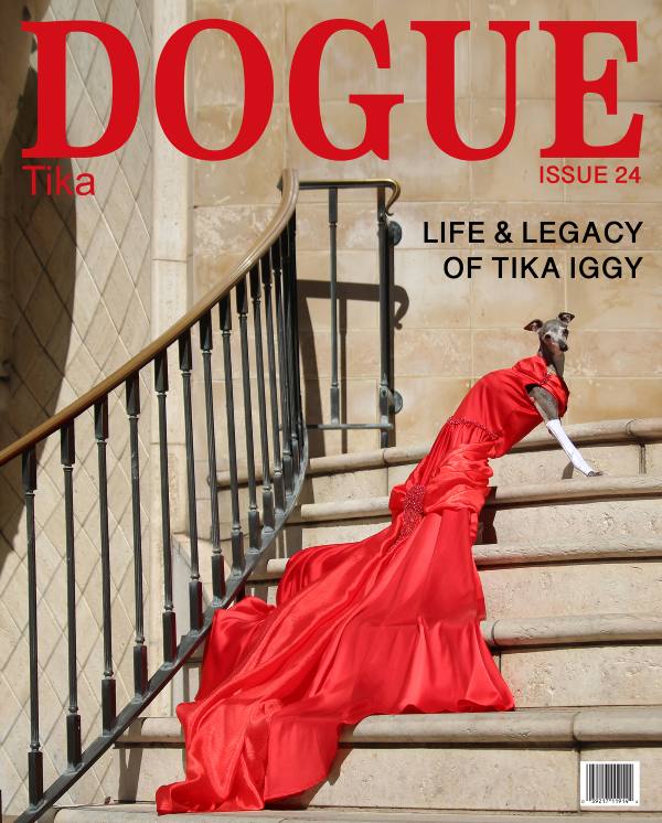 Vogue demanda a una revista canina por usar el nombre Dogue