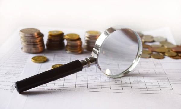 El INPI de Brasil analiza en un evento del IDS los recientes cambios en el sistema de marcas del país