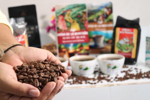 Honduras signs the International Coffee Agreement 2022