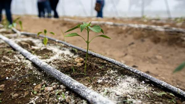 Honduras and UK Explore Expanded Trade & Investment Links