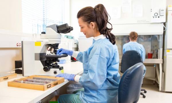 Mexico Sets New High in National Patents and Trademark Activity in 2025