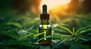 Costa Rica’s Medical Cannabis Market Gains Momentum