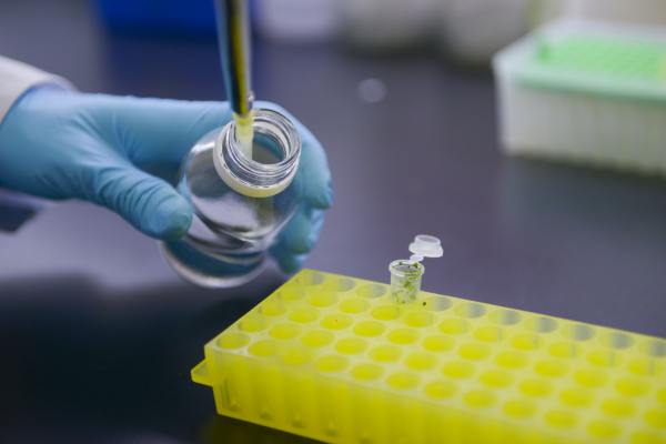 Argentina's Patent Office Updates Guidelines to Support Biotechnology Innovation