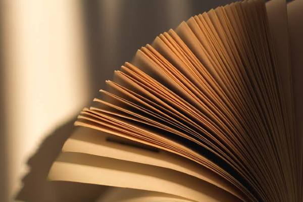 Peru's Copyright Office Rejects Registration of AI-Generated Book, Highlighting Human Authorship Requirement