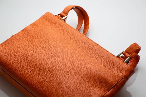 Patent for reversible and expandable handbag
