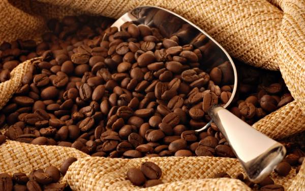 How are Central America's coffee value chains preparing for new regulations on deforestation-free products?