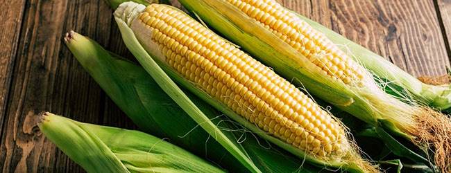 Mexico´s position in the USMCA corn dispute