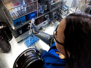 Peruvian trademark applications may have important growth in 2012