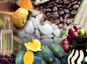 Peru is the second country in Latin America with the highest number of appellations of origin