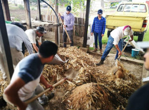 Strengthening agriculture with a million jobs