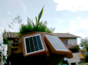 Rewarding environmental innovations to support green patents
