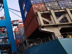 Authorized Economic Operator