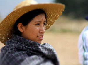 New legal framework will protect knowledge of indigenous peoples