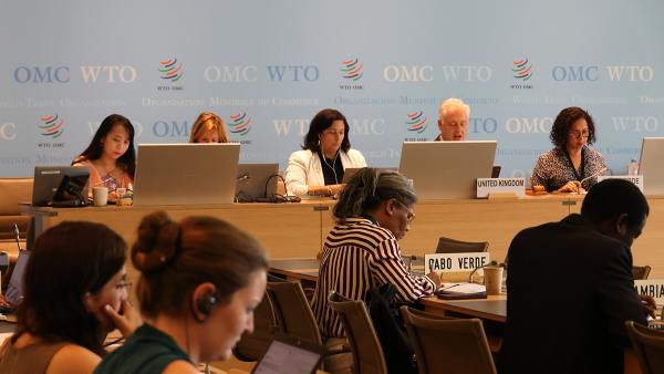 El Salvador Co-Leads WTO's Trade and Gender Group into 2026