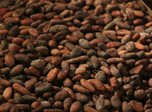 A Country Brand for cacao