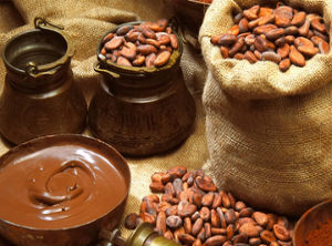 Cocoa and traceability, together for the industry of Nicaragua