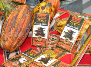 Amazonas Cacao is now an Appellation of Origin