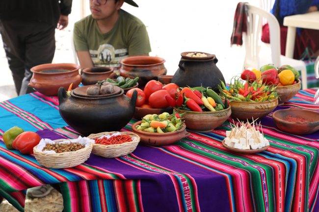 Bolivia’s Unique Treasures: The First List of Designations of Origin