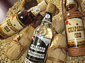Chaparro, new Apellation of Origin in El Salvador