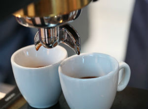 Coffee, meat and gold lead Nicaraguan exports