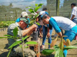 Young farmers from Nicaragua, on the shelves of Belgium