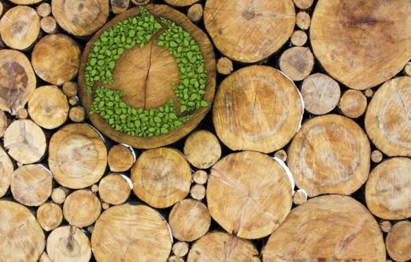 Honduras to certify wood products exported to the EU