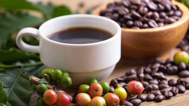 Expo Café Fair 2023: Boosting Coffee Production and Protecting IP Rights