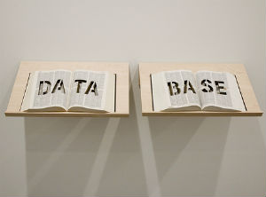 DNPI integrates database of global jurisprudence