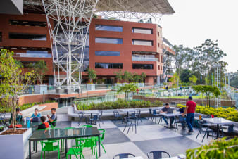 Innovation and Intellectual Property: Mayora IP and Universidad del Valle Boost Business Training in Guatemala