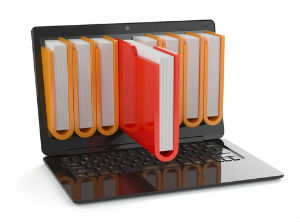 Digital identification
