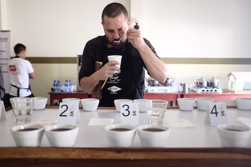 Nicaragua to Auction Off Cup of Excellence Coffees