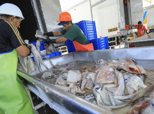 Peruvian exports achieved record figures during 2018