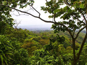 Environmental atlas of Nicaragua