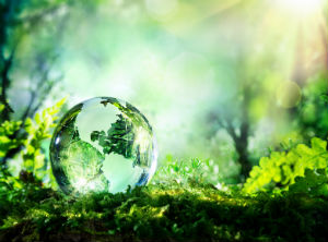 Chile leads Global Innovation Index 2017