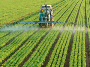 Guatemala, home of agriculture's top global tour 
