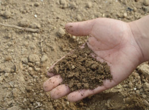 Smuggling of agrochemicals generates losses for USD 56 million