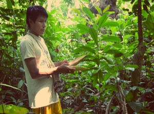 Peru presents in APEC a virtual platform for protecting traditional knowledge