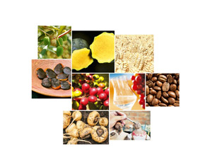 Indecopi presents the first book of recipes of Peruvian products with PDO