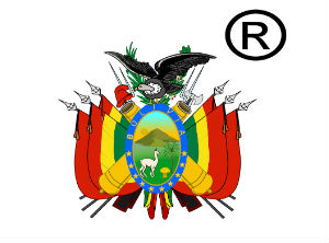 Bolivians in Spain promote their country through an innovative manner